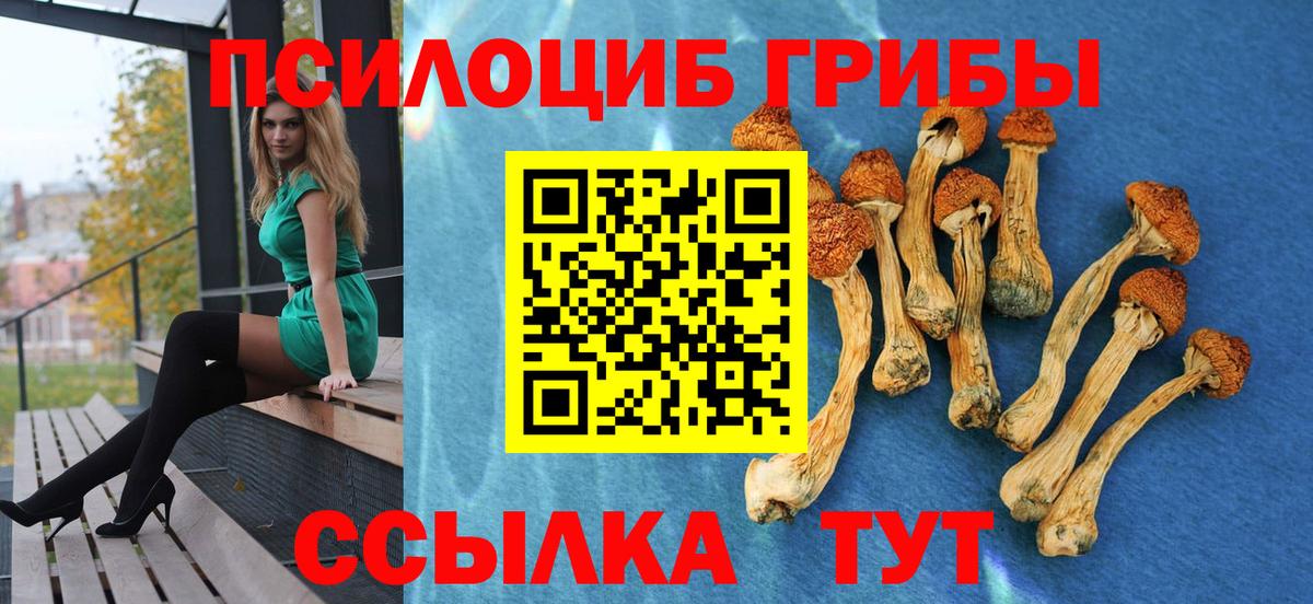 Сафоново  купить наркотик  Вход с VPN  Псилоцибиновые грибы мицелий  Псилоцибиновые грибы ЛСД 